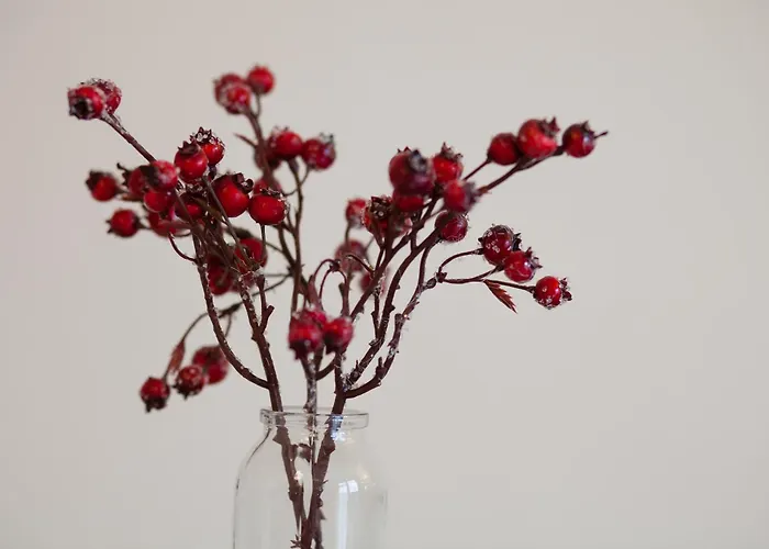 Appartamento Rosenkamp App 2